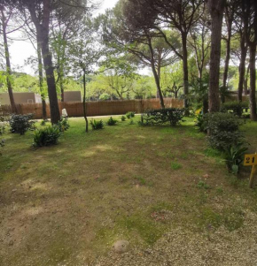 Camping Valdor Camper & Pitch Cavallino